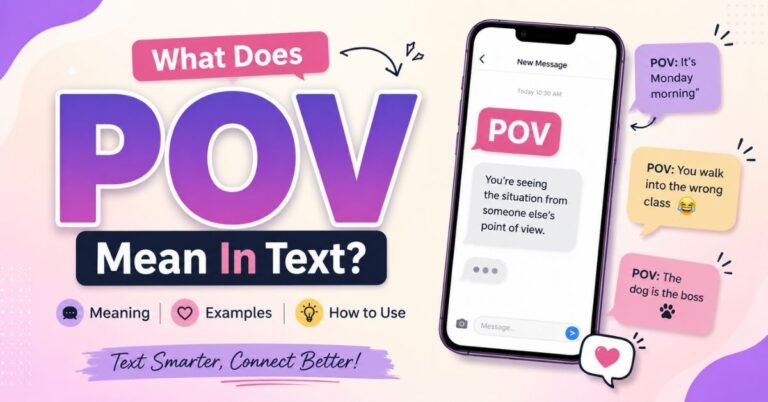POV Meaning In Text