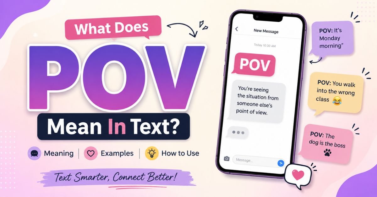 POV Meaning In Text